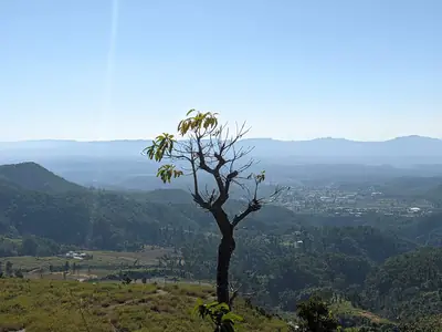 Photograph by Prakrisht Dahiya